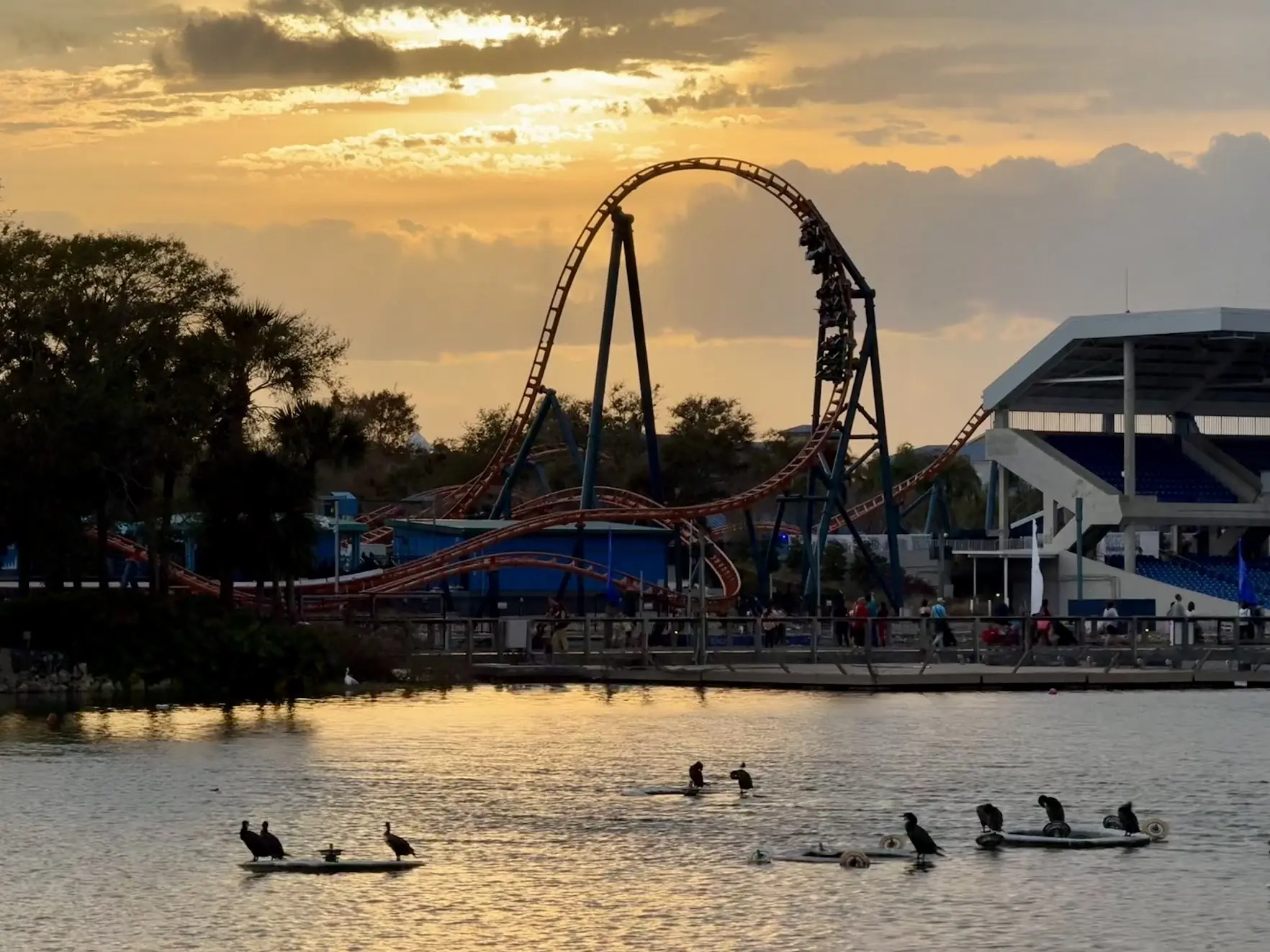 Sunset over a lake at SeaWorld Orlando, with a roller coaster loop and cormorants on floating platforms