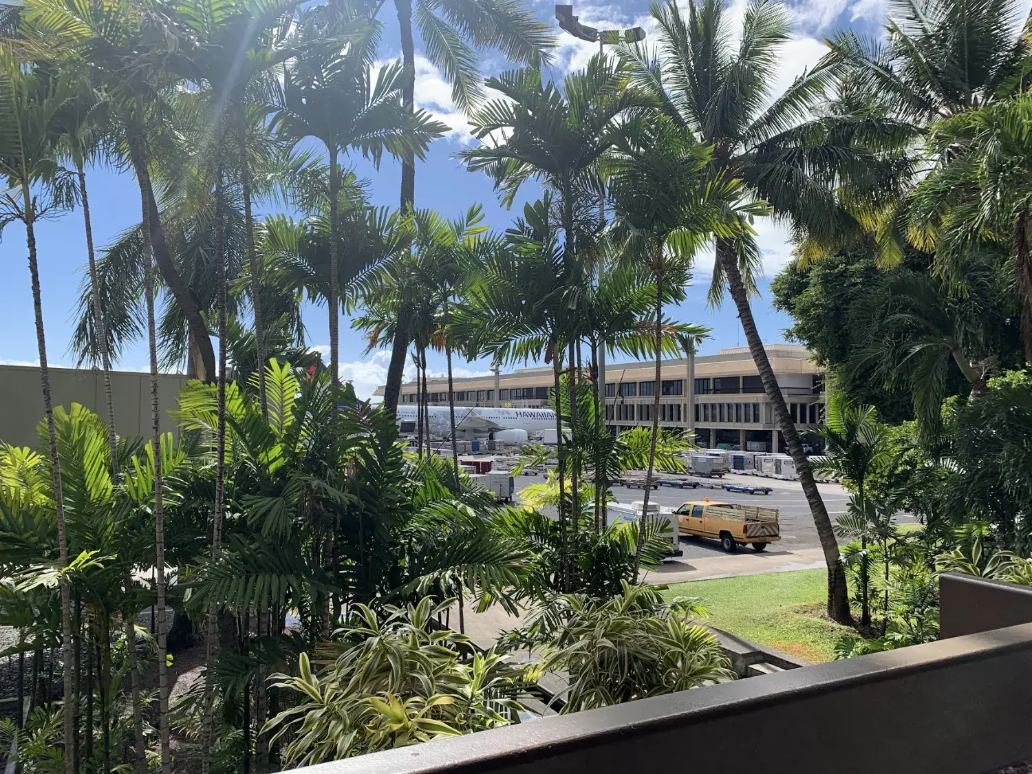 A Hawaiian Airlines plane seen through palm trees at Honolulu airport
